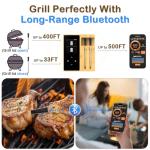 Wireless Meat Thermometer with 2 Probes for Grilling