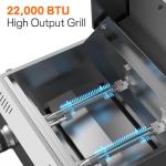 Veralune Portable 2 Burner Gas Grill - 22,000 BTUs