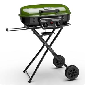 Portable Propane Gas Grill with Push-Button Ignition