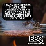 BBQ Rub and Marinade - Gourmet Artisan Spice