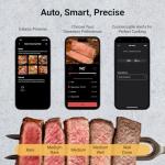 Typhur Sync Gold Wireless Meat Thermometer with 6 Sensors