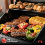 Megamaster 2-Burner Propane Grill with Foldable Tables