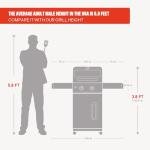 Monument Grills 2-Burner Propane Gas Grill