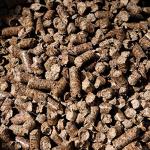 Bear Mountain 3-Pack Hardwood BBQ Pellets, 20 Lb