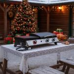 Royal Gourmet 3-in-1 Portable Gas Griddle