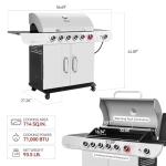 Royal Gourmet 6-Burner Propane Grill with Sear Burner