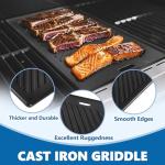 Cast Iron Reversible Grill Plates for Monument Grills