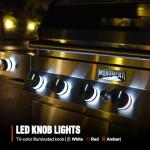 Monument Grills 6-Burner Natural Gas BBQ Grill