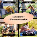 Wood Fire Pizza Oven Grill with Cover and Stone