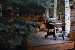 Traeger Pro 22 Pellet Grill and Smoker, Bronze