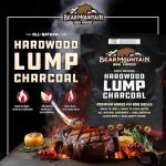 Bear Mountain BBQ Premium Hardwood Lump Charcoal