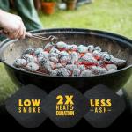 FOGO All-Natural Coconut Charcoal Briquettes, 2-Pack