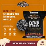 Bear Mountain BBQ Premium Hardwood Lump Charcoal