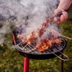 Bear Mountain BBQ Premium Hardwood Lump Charcoal