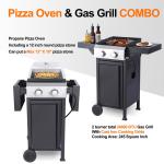 2-Burner Propane Gas BBQ and Pizza Grill