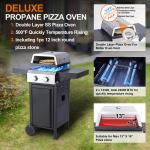 2-Burner Propane Gas BBQ and Pizza Grill