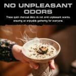 Instant Light Charcoal Disks - 100 Quick Light Coals