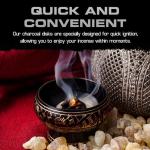 Instant Light Charcoal Disks - 100 Quick Light Coals