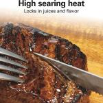 Hamilton Beach Indoor Electric Searing Grill