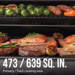 Expert Grill 5-Burner Propane Gas Grill