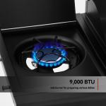 Royal Gourmet Gas Grill and Pizza Oven Combo