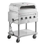 30" Stainless Steel Propane Grill with Pizza Oven