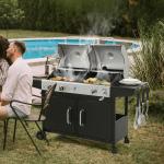 Royal Gourmet Dual Fuel Gas and Charcoal Grill