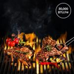 ChuMaste 3 Burner Propane Grill with Folding Stand