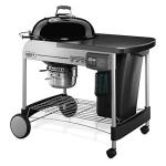 Weber 22" Charcoal/Wood Grill with Thermometer