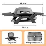Portable 11500 BTU Tabletop Gas Grill for BBQ