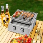 Stainless Steel 2-Burner Tabletop Gas Grill