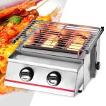 Stainless Steel 2-Burner Tabletop Gas Grill