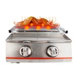 Stainless Steel 2-Burner Tabletop Gas Grill