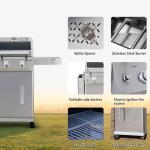 Monument Grills 2-Burner Stainless Steel Gas Grill