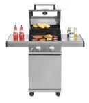 Monument 2-Burner Stainless Steel Gas Grill with LED