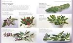 Ultimate Herb & Spice Guide with Recipes