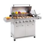 Monument 6-Burner Stainless Steel Propane Gas Grill