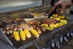 Monument 6-Burner Stainless Steel Propane Gas Grill
