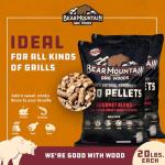 Bear Mountain Premium Hardwood Smoking Chips