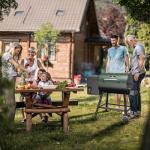DAMNISS Electric Wood Pellet Smoker Grill with Cover