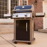 Weber Spirit E210 Liquid Propane Gas Grill