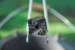 BGGWOLF Natural XL Lump Charcoal for Grilling