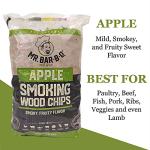 Mr. Bar-B-Q Wood Smoker Chips Variety Pack