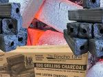 Binchotan Style Charcoal Briquettes - 22lbs