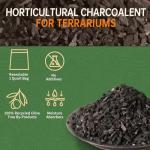ZFYOUNG 4QT Outdoor Charcoal Grill for Gardens