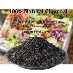ZFYOUNG 4QT Outdoor Charcoal Grill for Gardens