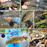 Aventik Z Fly Reel Center Drag System Classic III Graphite Large Arbor Sizes 3/4, 5/6, 7/8 Fly Fishing Reels(3/4)