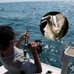 SHUNWEI 25 Pcs/Box Weighted Swimbait Hooks, Weighted Fishing Hooks Saltwater Worm Weedless for Bass Fishing Mixed 5 Size 1/0 2/0 3/0 4/0 5/0