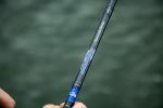 Dobyns Rods Maverick Spinning / 7'0" / 1 PC / 6-12 LB Line Weight/ 1/8-1/2 Lure Weight/Medium Light Fast Action/EVA-Split HDL