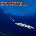 Dr.Fish 5 Pack Inline Trolling Sinker Torpedo Fishing Weight Lead Fishing Weight Sinker Double Ring Saltwater Offshore Boat Fishing 1oz